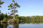 Northern Minnesota lake pine island